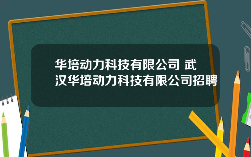 华培动力科技有限公司 武汉华培动力科技有限公司招聘